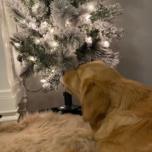 Meet your Posher, Hayden